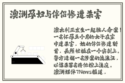 国内精品视频一区二区在线观看